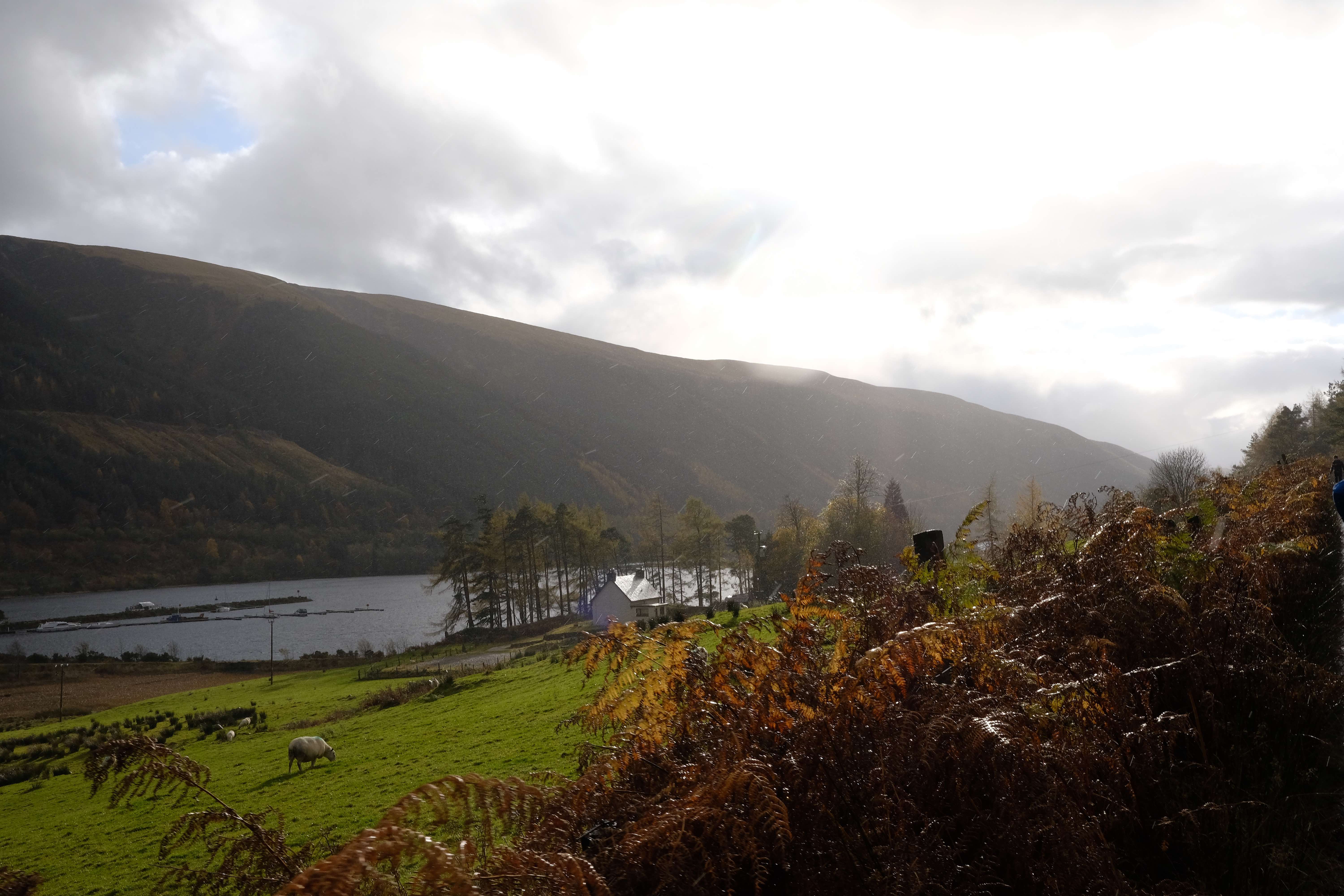 Ceann Loch, near Kilfinnan